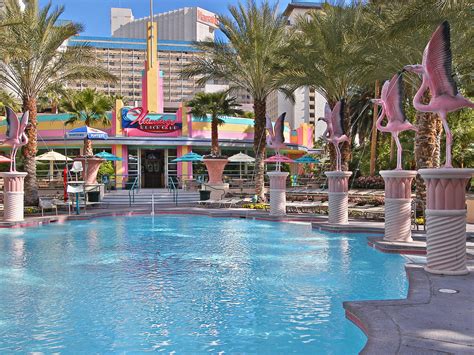 flamingo las vegas kids pool.